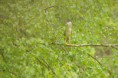 /album/sejour-%c3%a0-grenoble/dsc-0068-jpg/