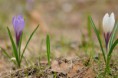 /album/sejour-%c3%a0-grenoble/dsc-0118-jpg/